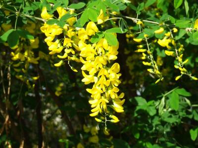 Прикрепленное изображение: bb2.jpg